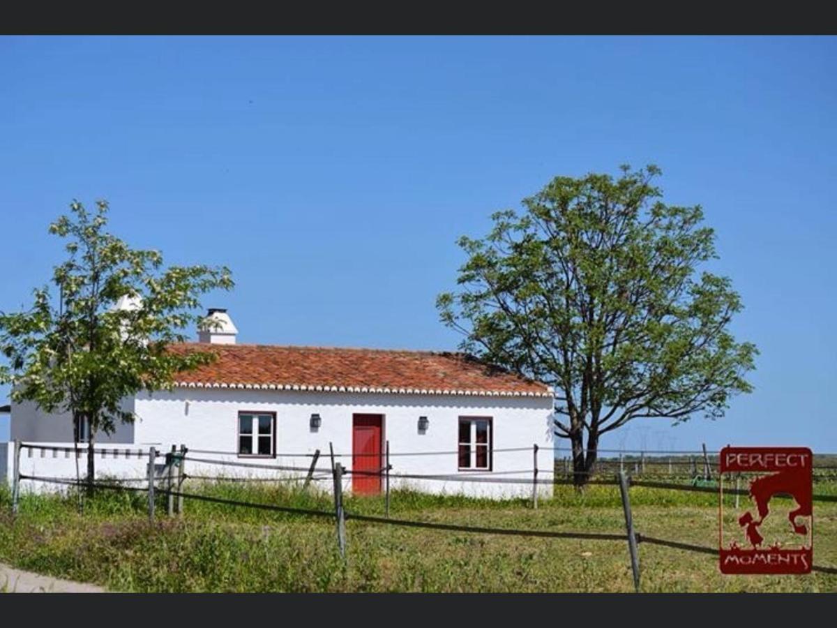 Villa Monte Da Boavista - Country Family House Alter do Chão Exterior foto