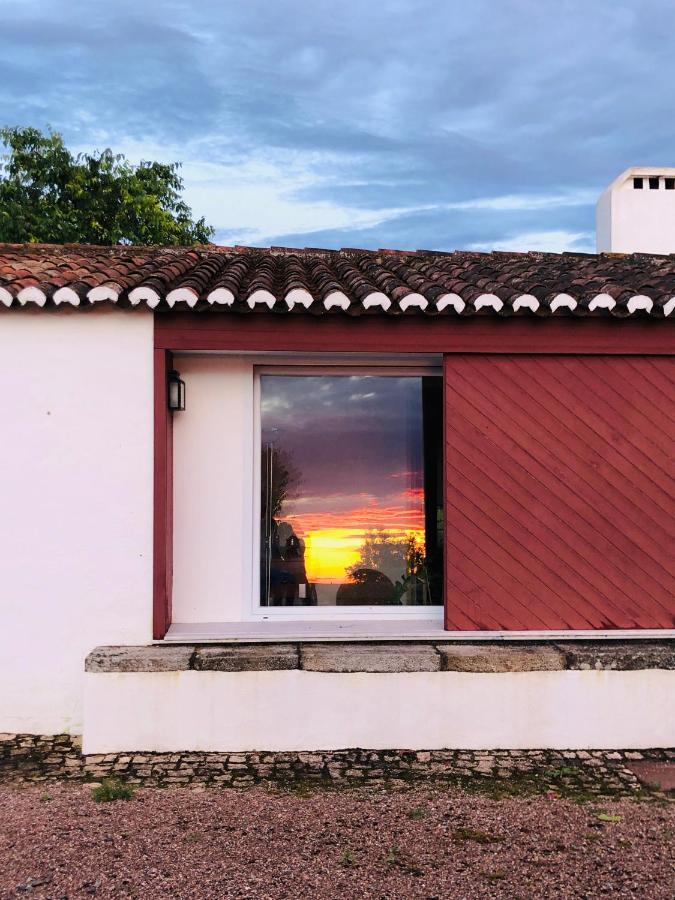 Villa Monte Da Boavista - Country Family House Alter do Chão Exterior foto