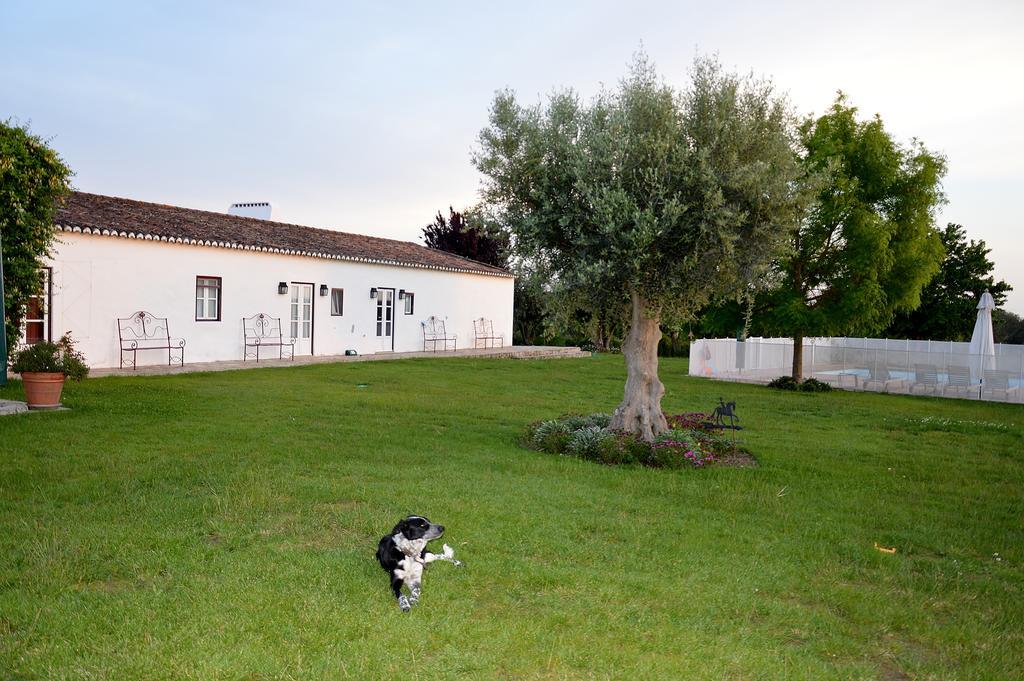 Villa Monte Da Boavista - Country Family House Alter do Chão Exterior foto