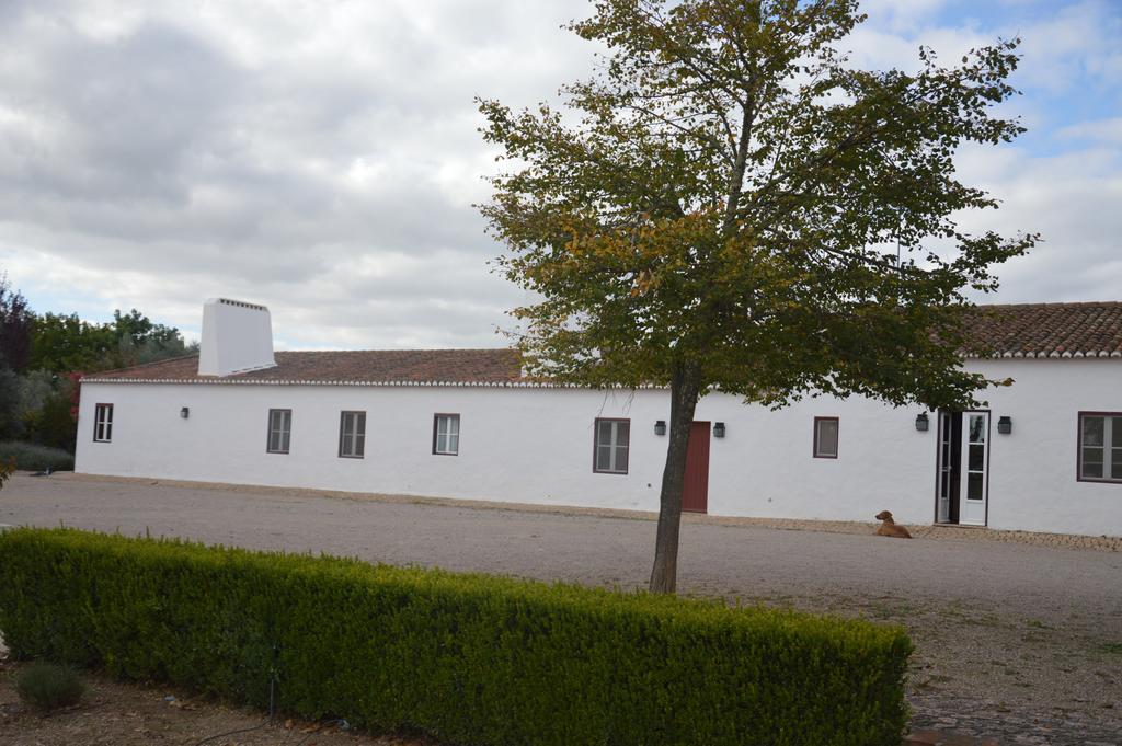 Villa Monte Da Boavista - Country Family House Alter do Chão Exterior foto